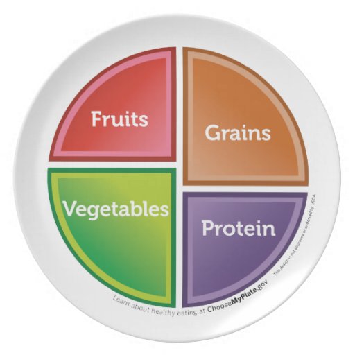 Food Group (MyPlate) plate | Zazzle