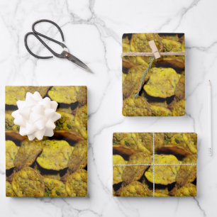 Food Indian Snack Methi Vadi Food Wrapping Paper Sheets