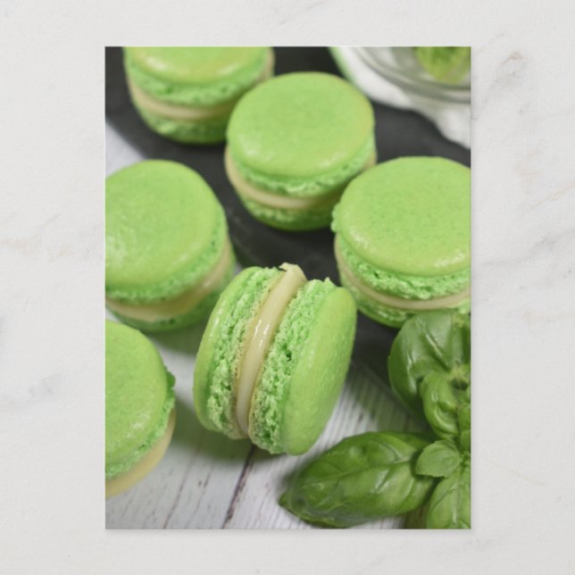 Food Photography Lime Basil French Macarons Postcard (Front)