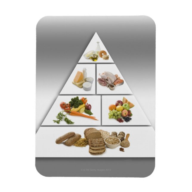 Food pyramid magnet (Vertical)
