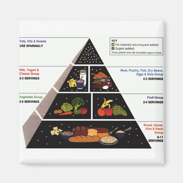 Food Pyramid Magnet (Front)