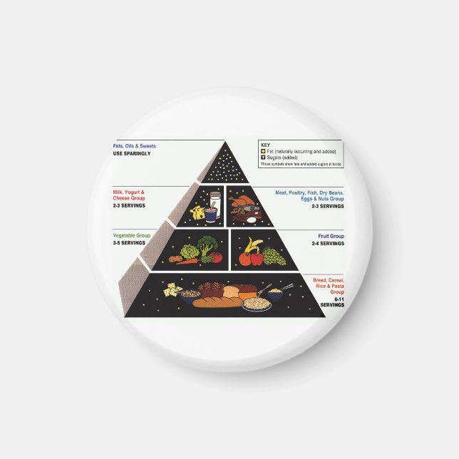 Food Pyramid Magnet (Front)