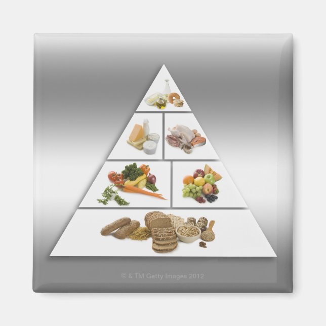 Food pyramid magnet (Front)