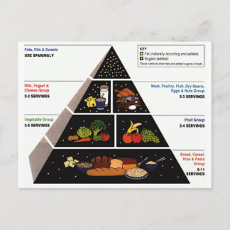 Food Pyramid Postcard