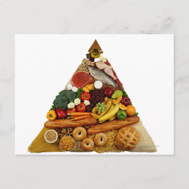 Food Pyramid Postcard (Front)