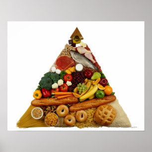 Food Pyramid Poster