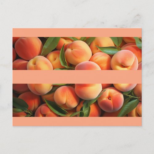 Foodie Lets Split A Peach Postcard