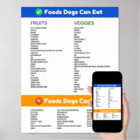 Foods Dogs Can and Can't Poster, Zazzle