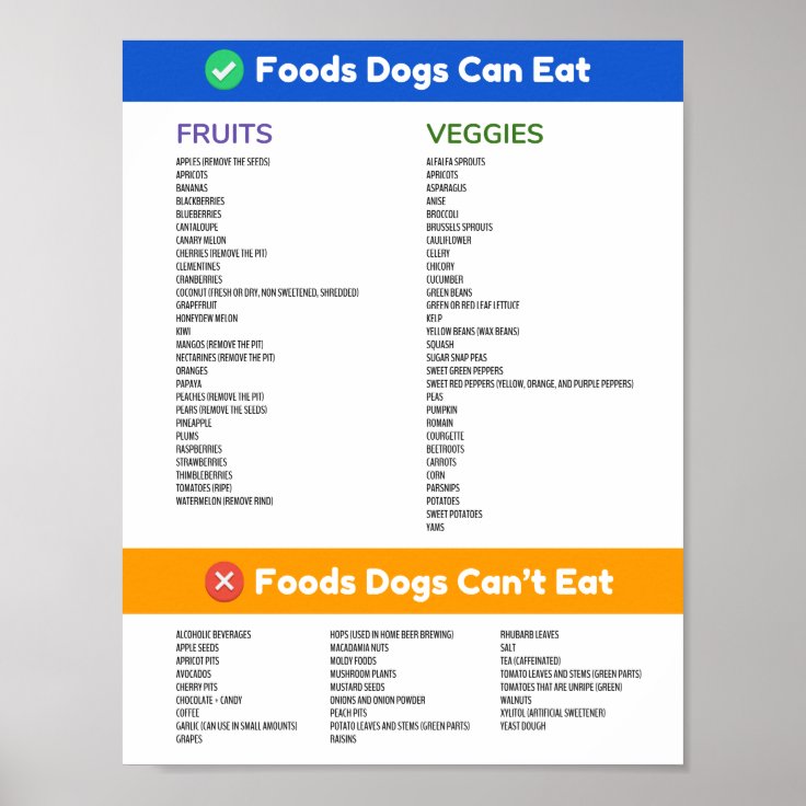 Foods Dogs Can and Can't Eat Poster | Zazzle