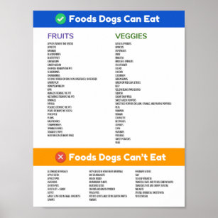 Foods Dogs Can and Can't Eat Poster