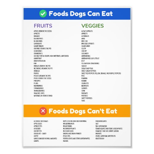 Foods Dogs Can and Cant Poster