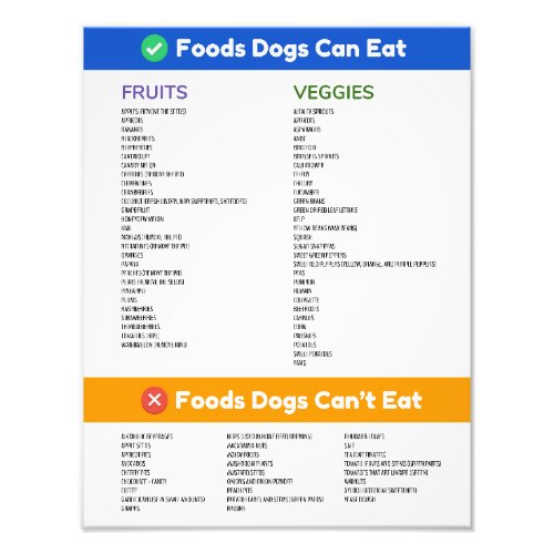 Foods Dogs Can and Cant Poster