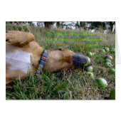 Foolish things (Front Horizontal)