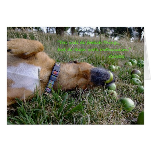 Foolish things (Front Horizontal)