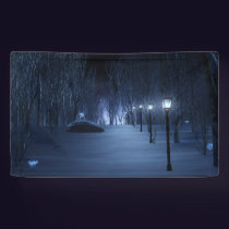 Fool's Light Banner