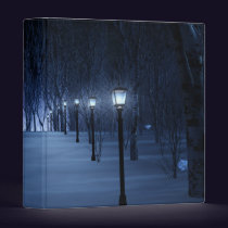 Fool's Light Binder