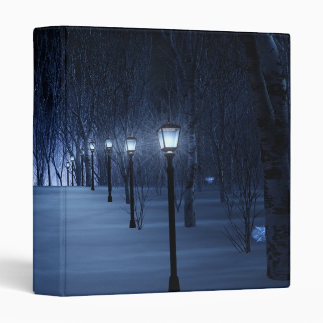 Fool's Light Binder (Front/Spine)