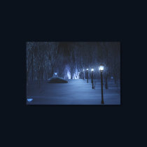 Fool's Light Canvas Print