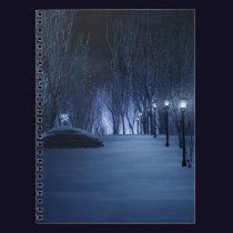 Fool's Light Notebook