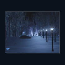 Fool's Light Postcard