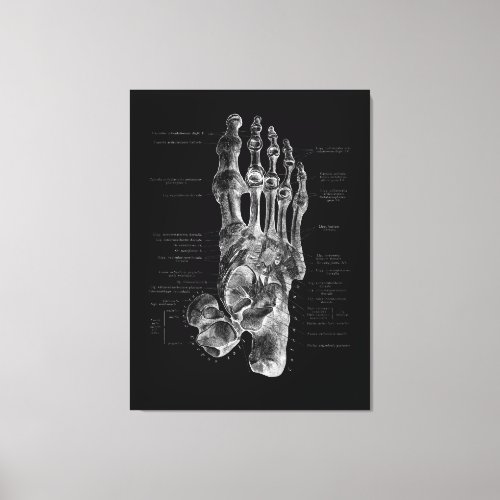 Foot Anatomy Podiatrist Medical Poster Canvas Print