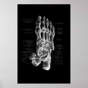 Foot Anatomy Podiatrist Medical Wall Decor