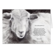 Foot and mouth virus - sheep card (Front Horizontal)