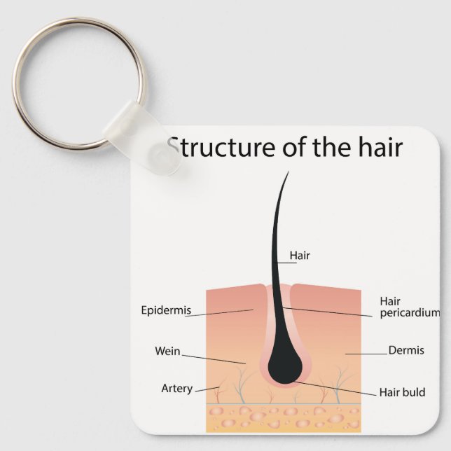  foot bones anatomy  keychain (Front)