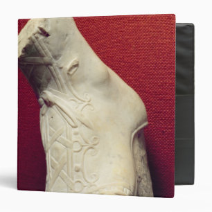 Foot from a statue 3 ring binder