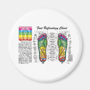 Foot-Massage-Reflexology Magnet