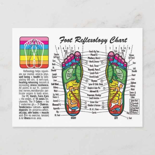 Foot-Massage-Reflexology Postcard (Front)