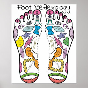 foot Reflexology 14x18" Poster