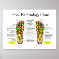 Foot Reflexology -16x12"