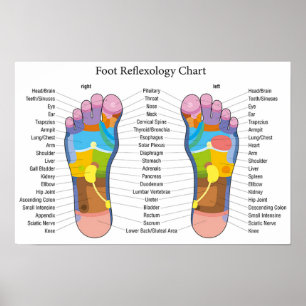 Foot Reflexology 18x12" Poster