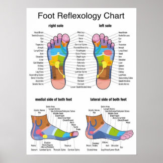 Foot Reflexology -18x24" Poster
