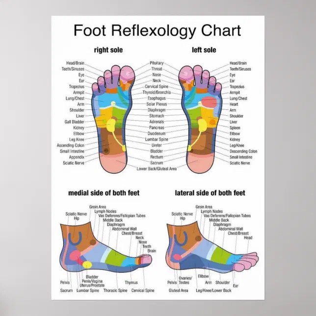 Foot Reflexology -18x24