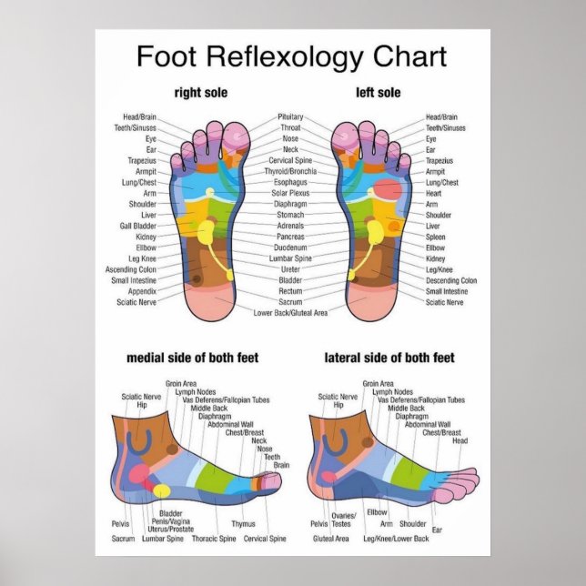 Foot Reflexology 22x29" Poster (Front)
