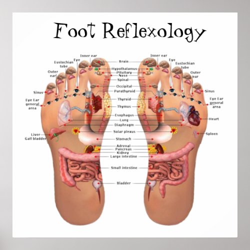 Foot Reflexology 24x24 Poster
