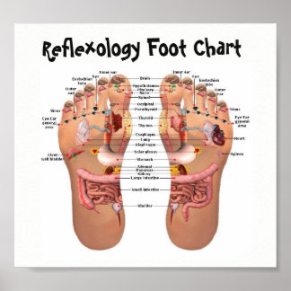 foot reflexology 8x7" poster