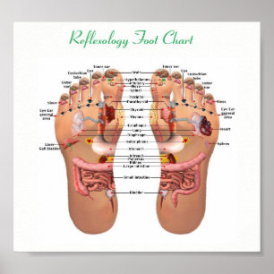 foot reflexology 8x7" poster