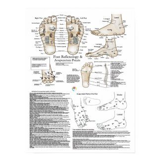 Foot Reflexology and Acupuncture Point Poster