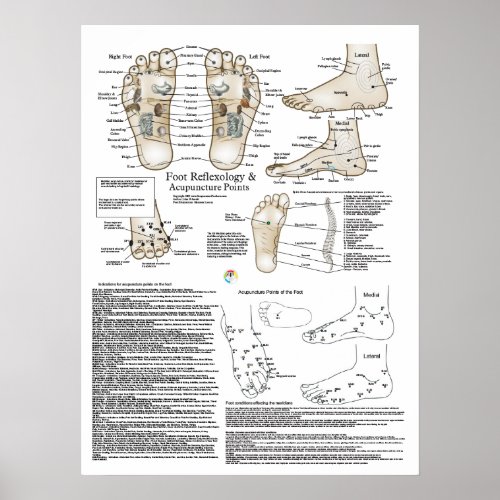 Foot Reflexology and Acupuncture Point Poster