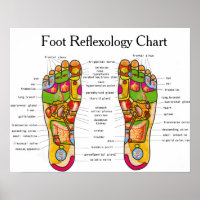 Foot Reflexology Chart