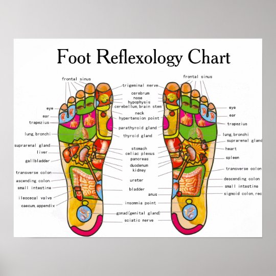 Reflexology Chart Poster