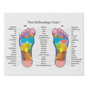 Foot reflexology Chart Faux Canvas Print