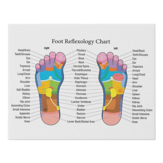 Foot reflexology Chart Faux Canvas Print (Front)