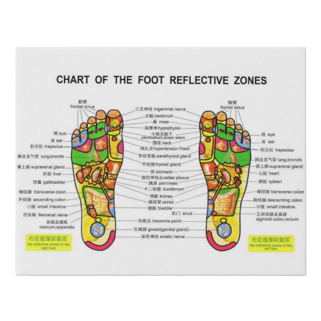 Foot reflexology Chart Faux Canvas Print (Front)
