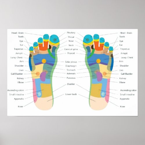 Foot Reflexology Chart Poster