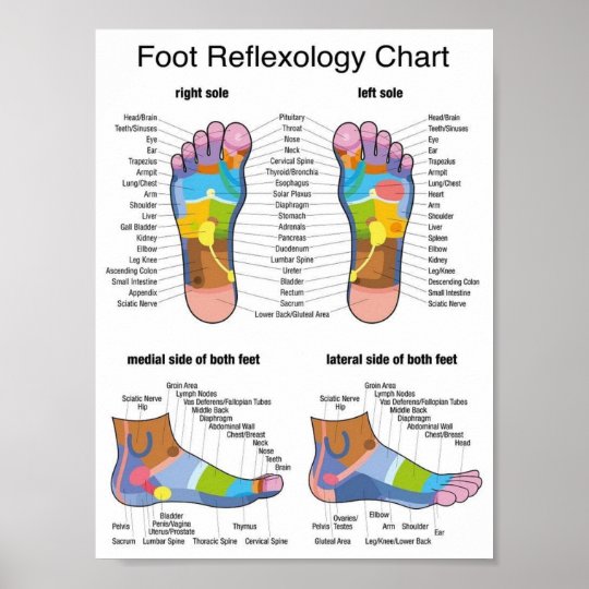 Reflexology Wall Chart Posters