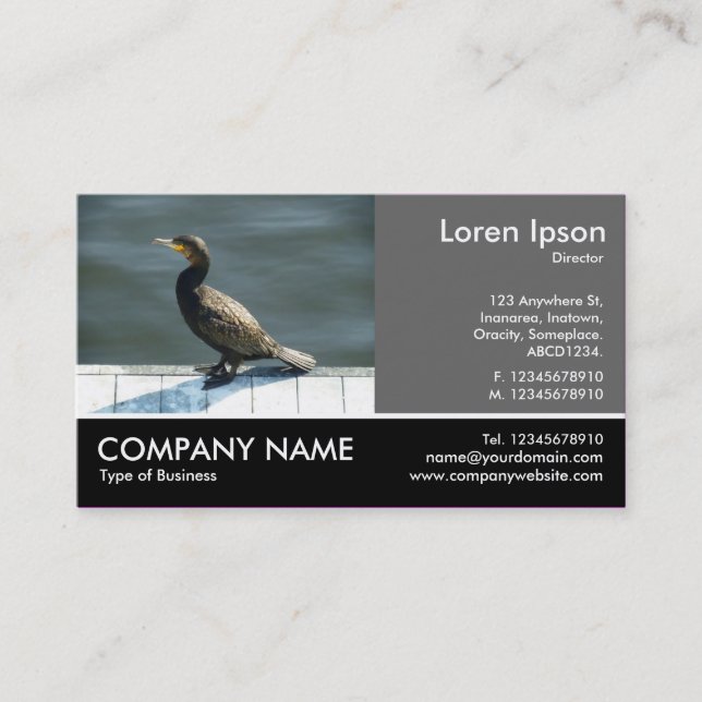 Footed Photo - 60pc Gray - Cormorant Business Card (Front)
